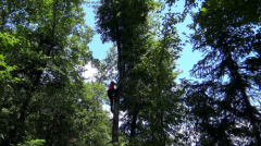 君友康青钱柳：传承“饮”领大健康 为国人保驾护航